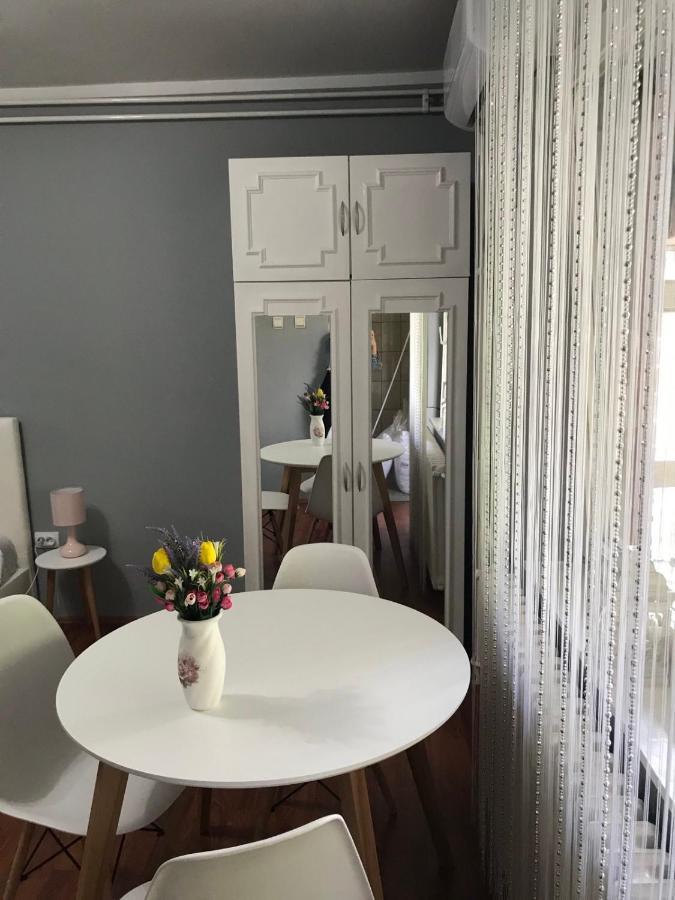 Apartman Studio Pavle I Petra เซรมสกี คาร์ลอฟซี ภายนอก รูปภาพ