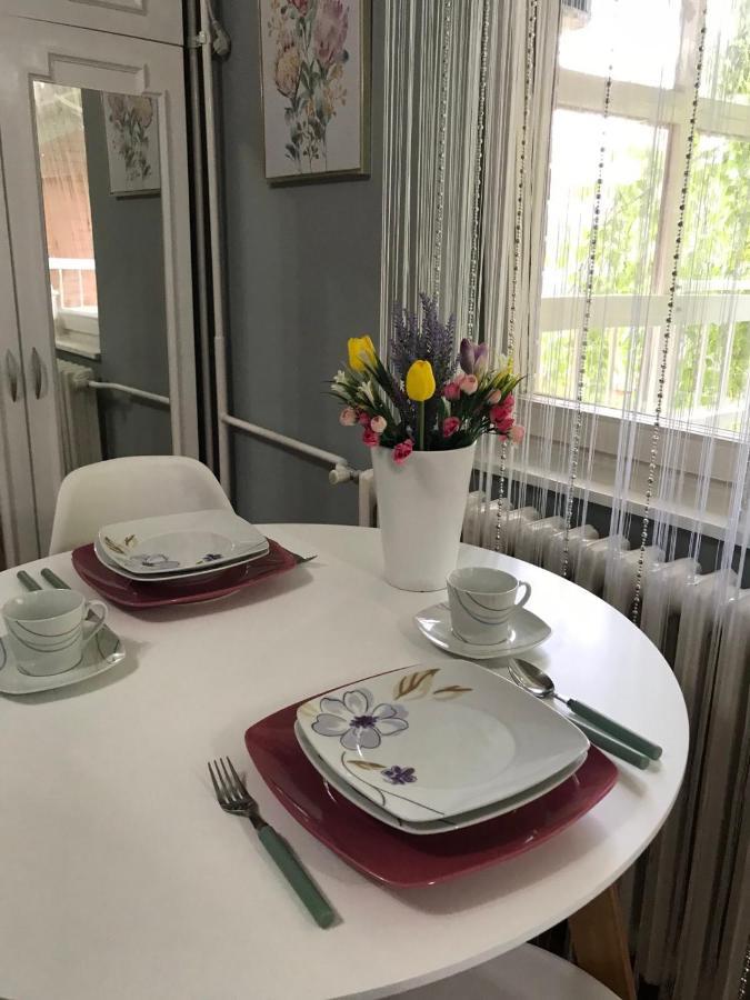 Apartman Studio Pavle I Petra เซรมสกี คาร์ลอฟซี ภายนอก รูปภาพ