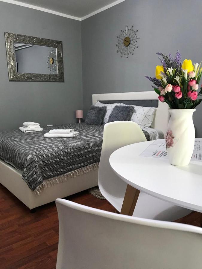 Apartman Studio Pavle I Petra เซรมสกี คาร์ลอฟซี ภายนอก รูปภาพ